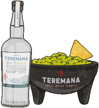 Teremana bottle with guacamole molcajete